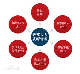鄭州社保公積金代理、勞務派遣及人事外包服務市場概況